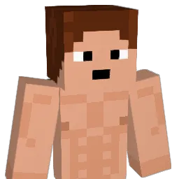 PrimoKoala Minecraft avatar bust