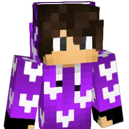 Prince4004 Minecraft avatar bust