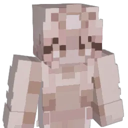 Princesplatthen Minecraft avatar bust