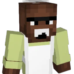 Pringle_4991 Minecraft avatar bust