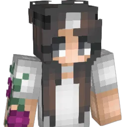 Privatlie Minecraft avatar bust