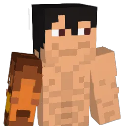 Privnik