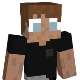 Prkbby Minecraft avatar bust