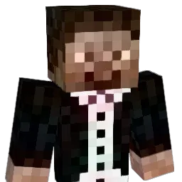 Pro29's Minecraft skin