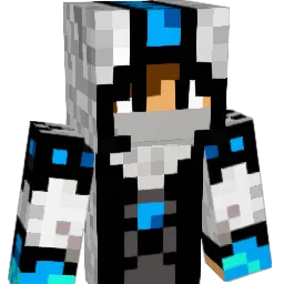 Pro2theplayer Minecraft avatar bust