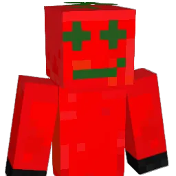 Pro_Tomate Minecraft avatar bust