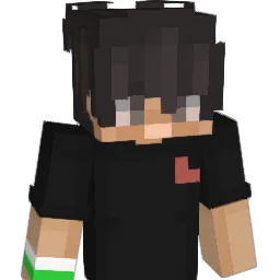 Proarte's Minecraft skin