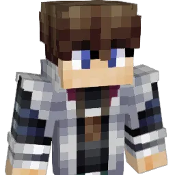 Products_ Minecraft avatar bust
