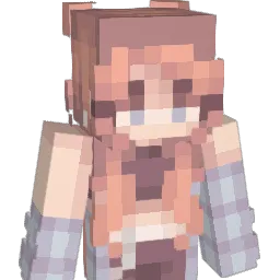 Protect_VPN Minecraft avatar bust