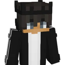 Przemo_9 Minecraft avatar bust