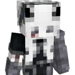 Psychiatris Minecraft avatar bust