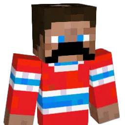 Ptitgros Minecraft avatar bust