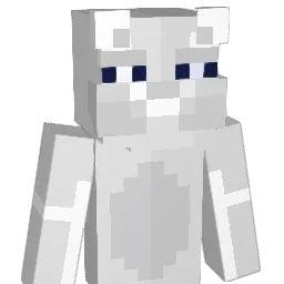 PuJA_AKA Minecraft avatar bust