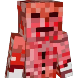 Puchipuni