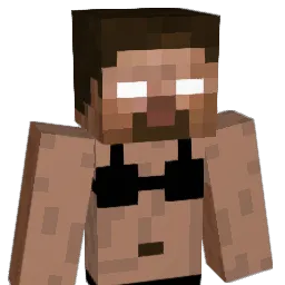 Puddles55 Minecraft avatar bust