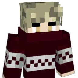 Puertos Minecraft avatar bust