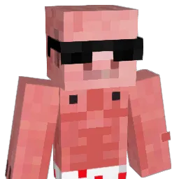 PuffyPig222 Minecraft avatar bust