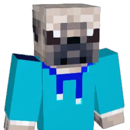 PugDudeM1 Minecraft avatar bust