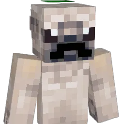 PuggyG352