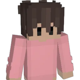 Punt Minecraft avatar bust