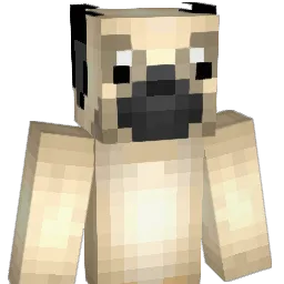 PuppyCraft_ Minecraft avatar bust
