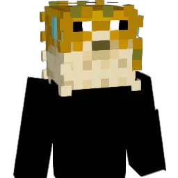 Pupsimgesicht Minecraft avatar bust
