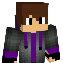 PurpleDragonLord Minecraft avatar bust
