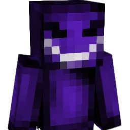 PurpleHellZ100 Minecraft avatar bust