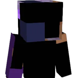 PurpleOwl11 Minecraft avatar bust