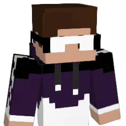 Purplex360 Minecraft avatar bust