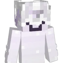 Minecraft-Avatar von Purplexles: Büste