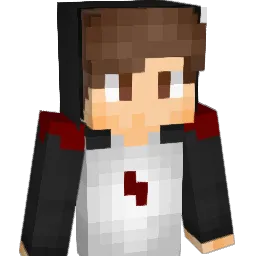 PustaN Minecraft avatar bust