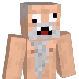 Pwned_ Minecraft avatar bust
