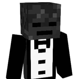 Pxaver94 Minecraft avatar bust