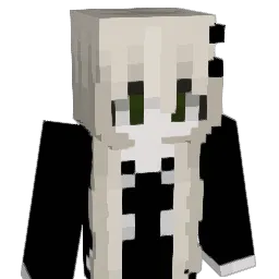 Pyykinpesuaine Minecraft avatar bust