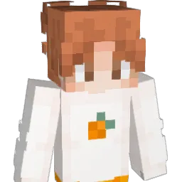 Q33_ Minecraft avatar bust