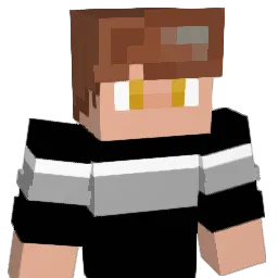 Q5__ Minecraft avatar bust
