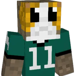 QLSyt's Minecraft skin