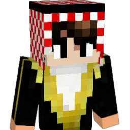 QNine16 Minecraft avatar bust