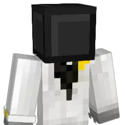QTS2029 Minecraft avatar bust