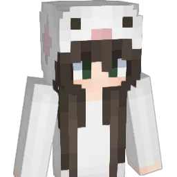 Q_4's Minecraft skin