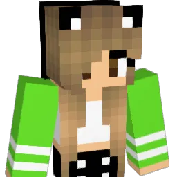QuarterCraft123 Minecraft avatar bust