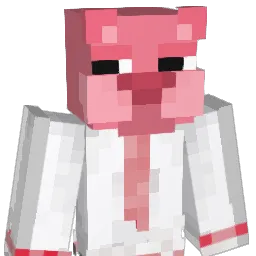 QubusX091 Minecraft avatar bust