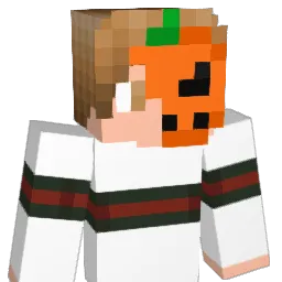 Quentao00 Minecraft avatar bust