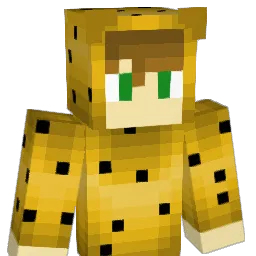 QuinnTheCheetah