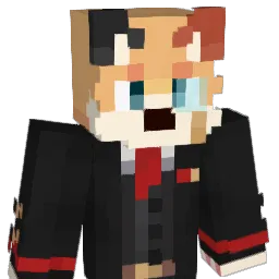 R07er1 Minecraft avatar bust