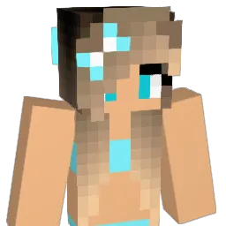 R0NR0N Minecraft avatar bust