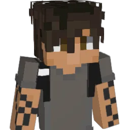 R0b_02 Minecraft avatar bust