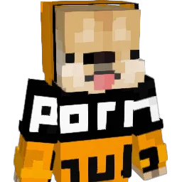 R0nez Minecraft avatar bust