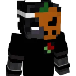 R1ZZ_Xd